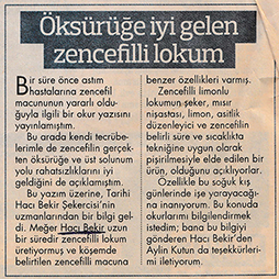 08.01.2013-Hürriyet Kelebek