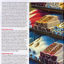 06.05.2018-Yunus Emre Enstitüsü Dergisi Mayıs